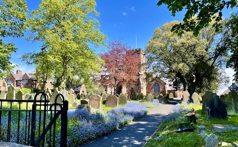 Neston graveyard and church in bright sunshine. Lots of purple flowers around the graves.