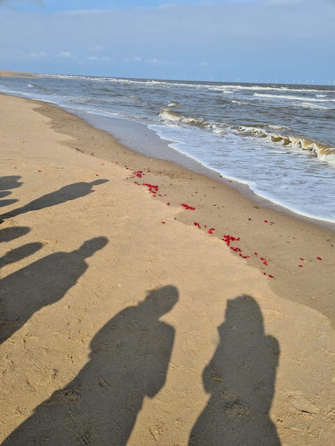 Our shadows on the beach and a row of rose petals where the tide has come in