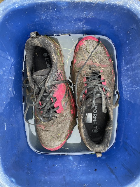 Muddy trainers in a washing up bowl of water.