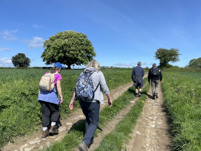 Some of the walkers walking across a field.
