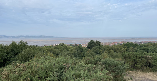 A view of the Dee Estuary from above the nearby trees and houses