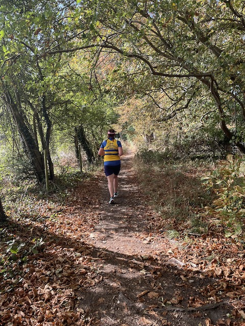 The wooded trail leading into the distance with a runner ahead