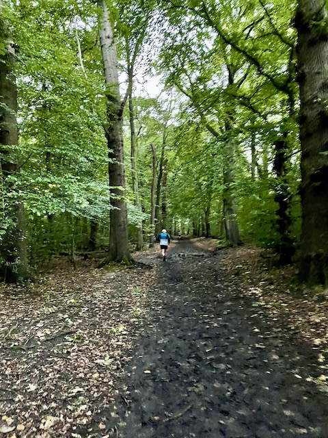A muddy path in the woods with a runner ahead.