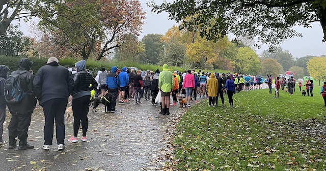 People lining up for the start