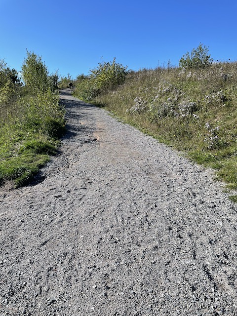 A trail path on a blue sky day.