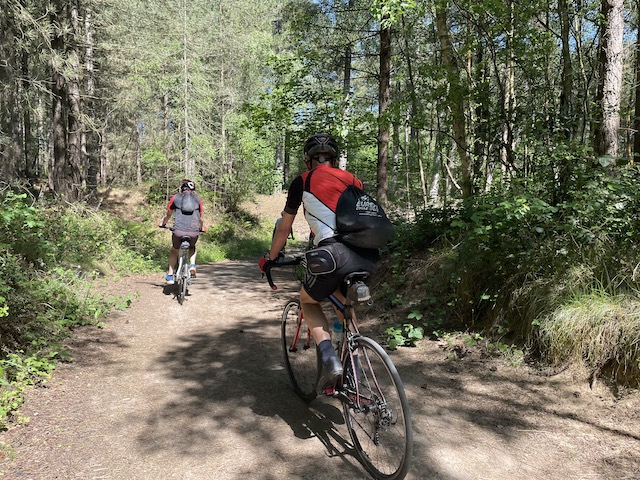 Cyclists on a trail in the woods