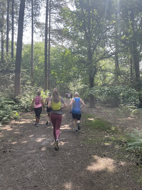 Runners running through trees in a shaded part of the course