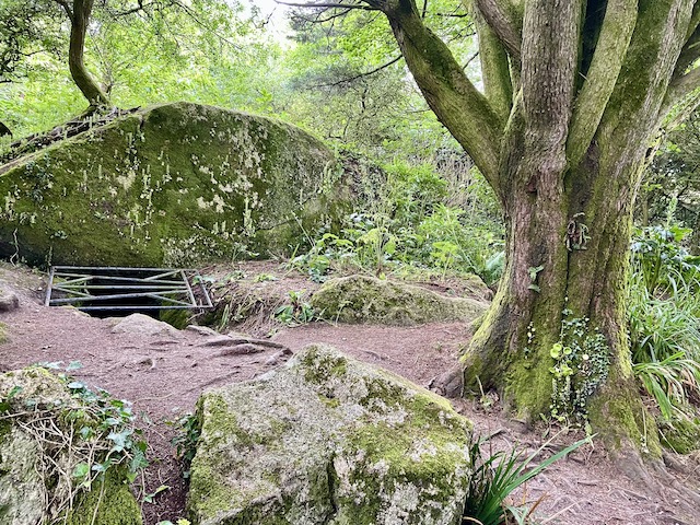 A hole covered by a metal grate in the woods nearby. The old well