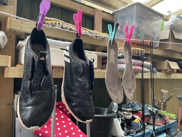 Clean shoes hanging on a washing line.