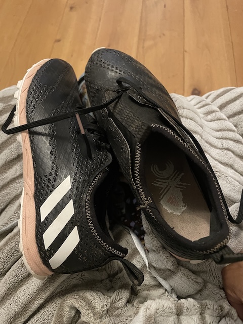 My very clean cross country shoes. Could be Adidas stripes, could be knock off - hard to tell