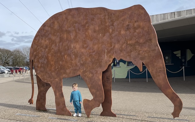 A small child below a large metal elephant statue, at the front of Chester Zoo