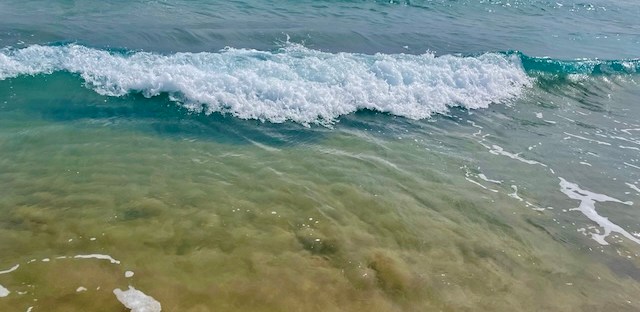 Waves coming up the sandy beach