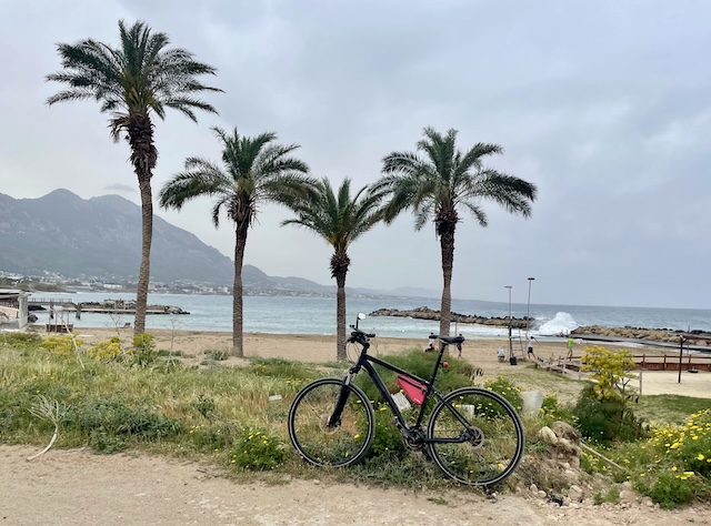 A bicycle in the forefront with palm trees and then the sands and the water crashing on the rocks beyond. Some people playing volleyball on the beach.
