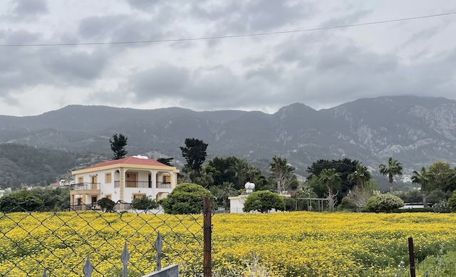 The foreground of a yellow flowered field with a house, with many trees, and the mountains behind.
