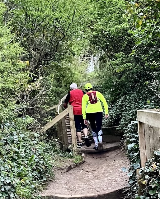Lots of steps going up in a woodland setting.