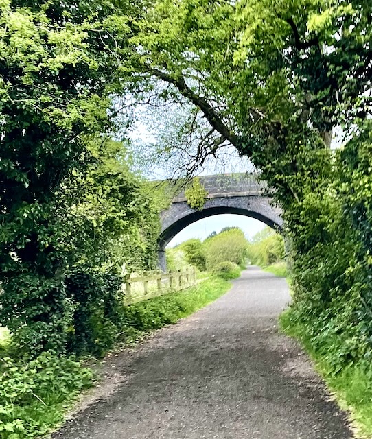 The Wirral Way path stretching ahead, arched by trees and a bridge spanning in the middle-ground.