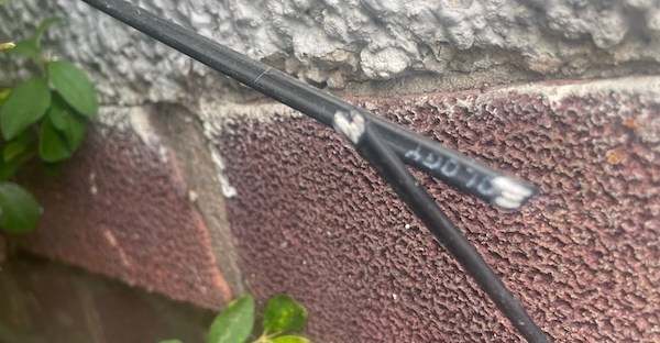 A wire that has been cut into against a half brick and half rendered wall next to a sprig of hedge