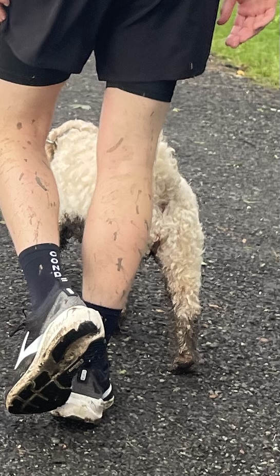 Dog with muddy paws and the back of the man's legs